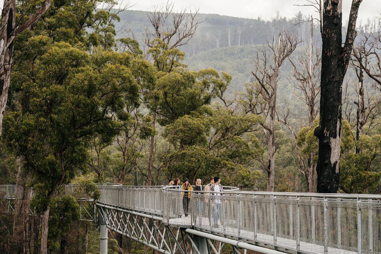 Tahune Airwalk Cabin And Lodge Geeveston Екстериор снимка
