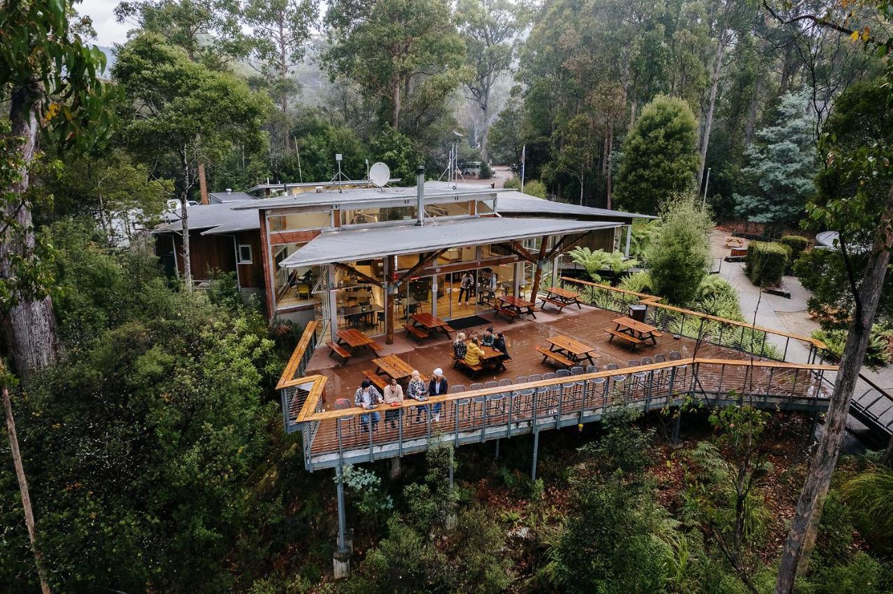 Tahune Airwalk Cabin And Lodge Geeveston Екстериор снимка