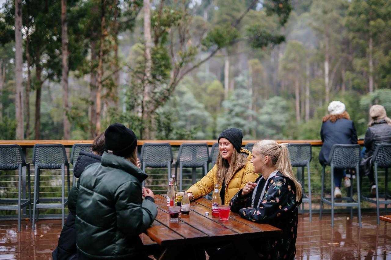 Tahune Airwalk Cabin And Lodge Geeveston Екстериор снимка