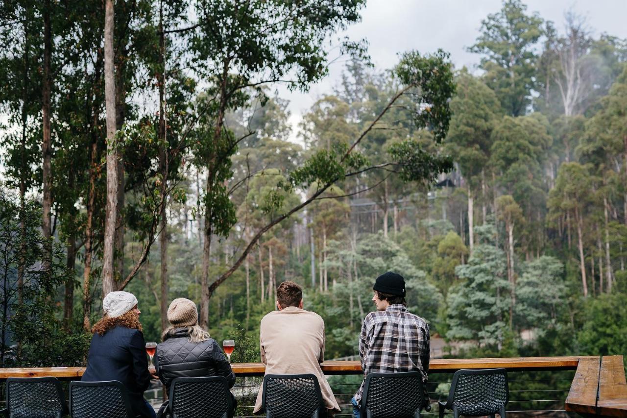 Tahune Airwalk Cabin And Lodge Geeveston Екстериор снимка
