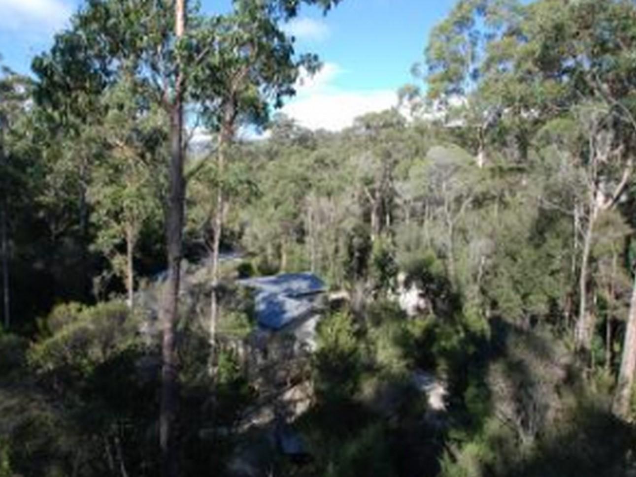 Tahune Airwalk Cabin And Lodge Geeveston Екстериор снимка