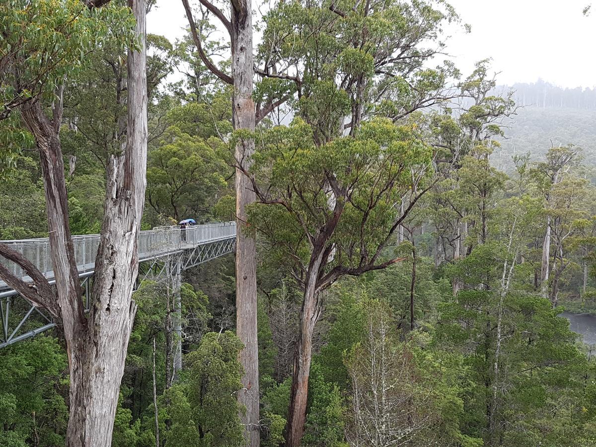 Tahune Airwalk Cabin And Lodge Geeveston Екстериор снимка