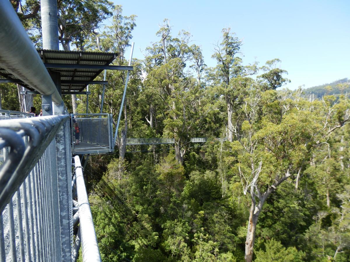 Tahune Airwalk Cabin And Lodge Geeveston Екстериор снимка