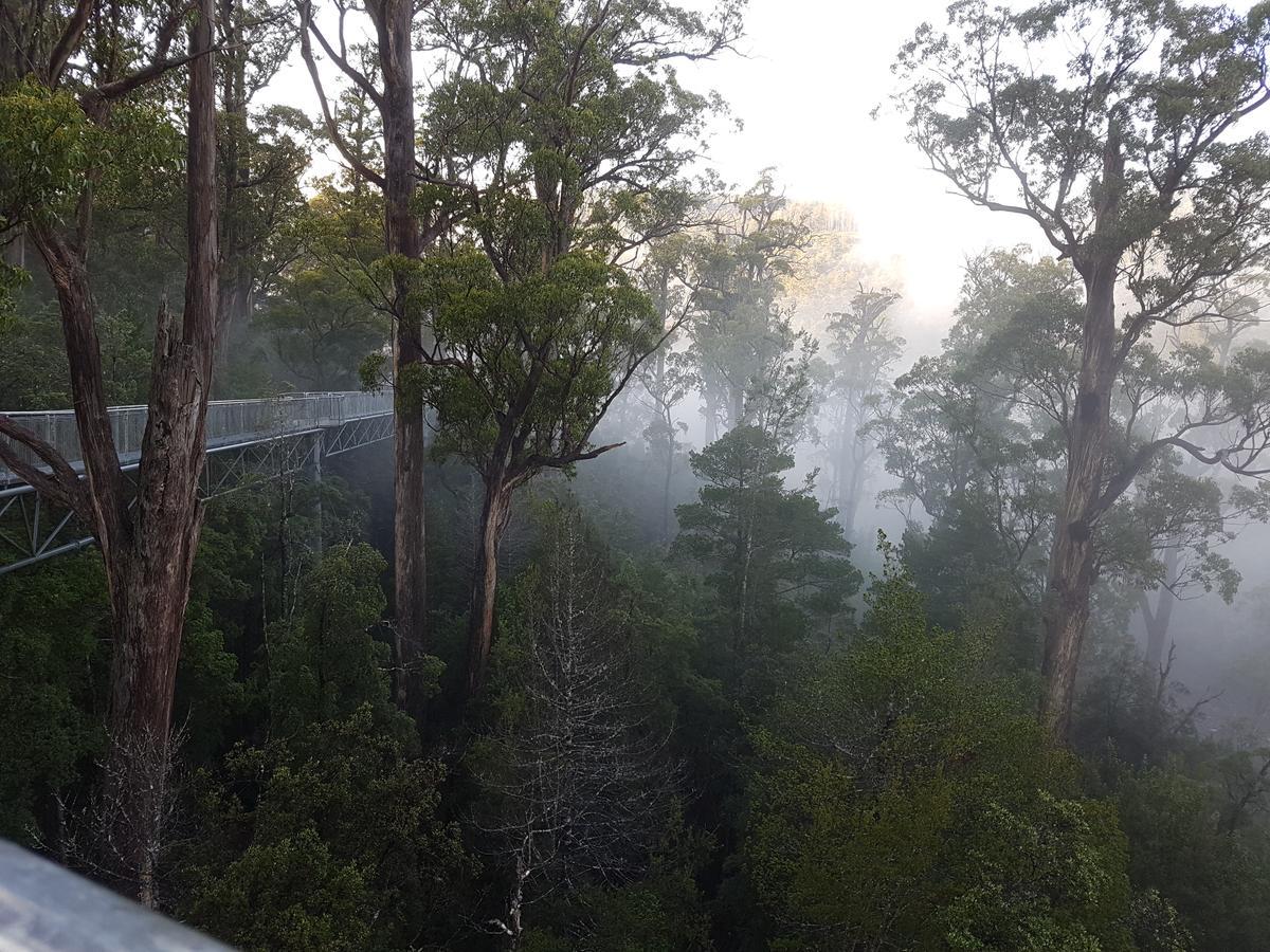 Tahune Airwalk Cabin And Lodge Geeveston Екстериор снимка
