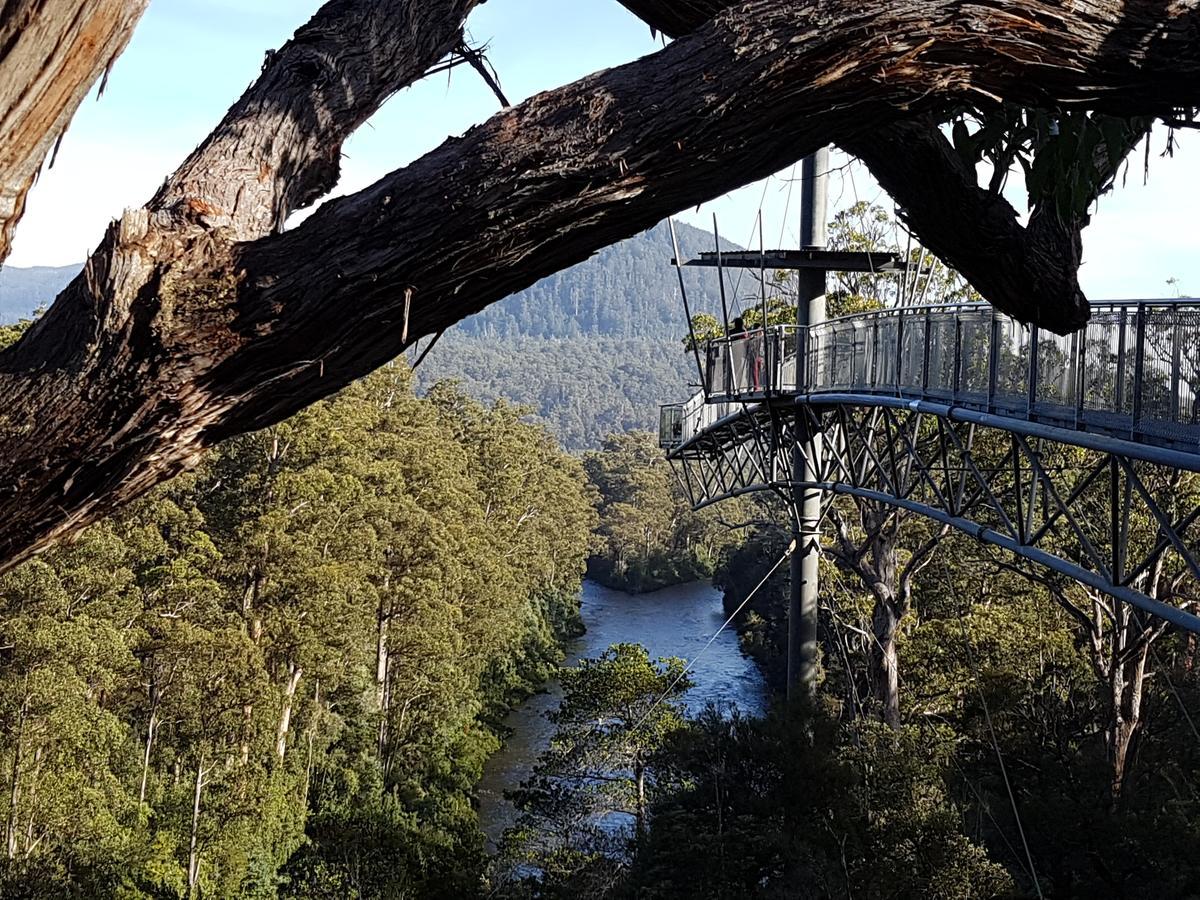 Tahune Airwalk Cabin And Lodge Geeveston Екстериор снимка